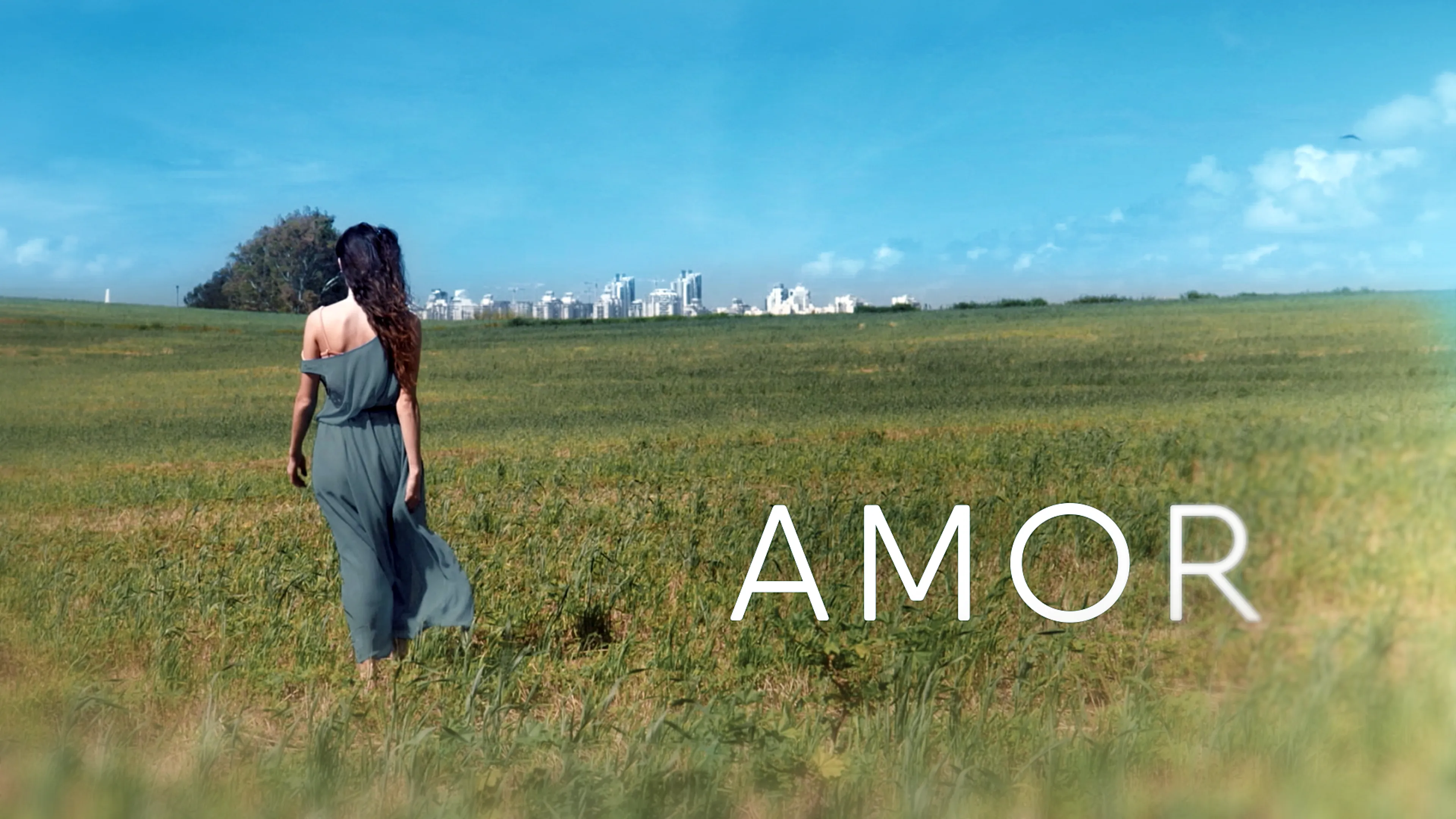 Amor poster